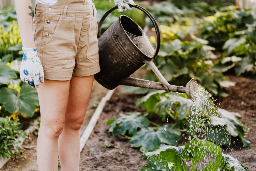 seasonal worker